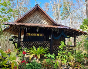 The Mo M เดอะ โม เอ็ม